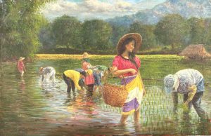 Rice Harvest