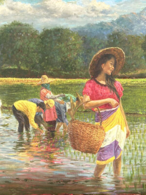Rice Harvest