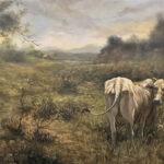 Lone Cattle