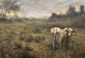 Lone Cattle