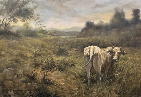 Lone Cattle