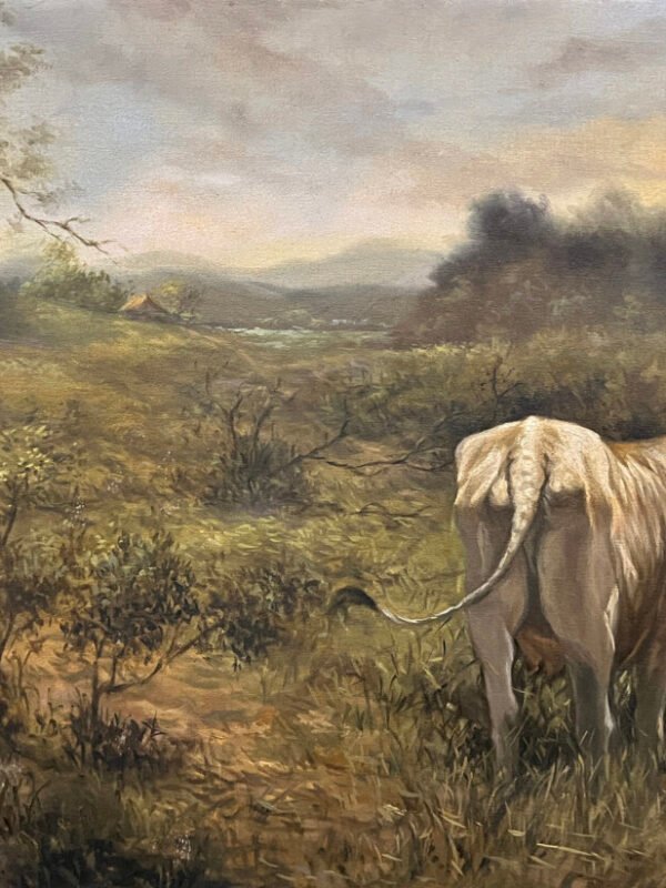 Lone Cattle