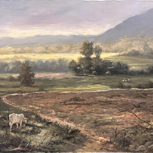 Pasture