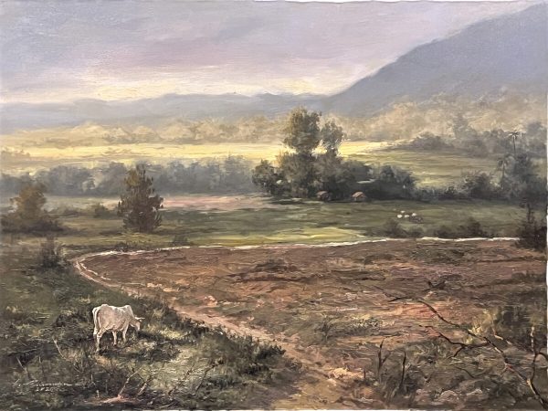 Pasture