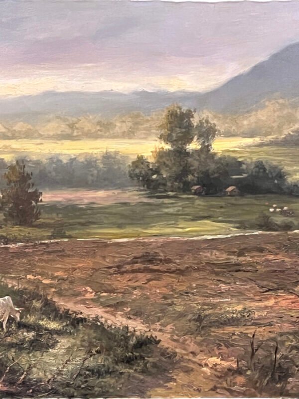 Pasture