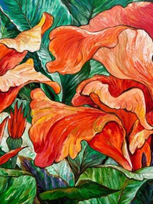 Canna Lily