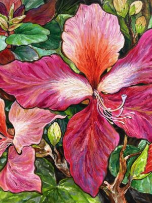 Hongkong Orchid Tree