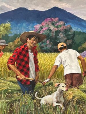 Rejoicing for this Bountiful Harvest