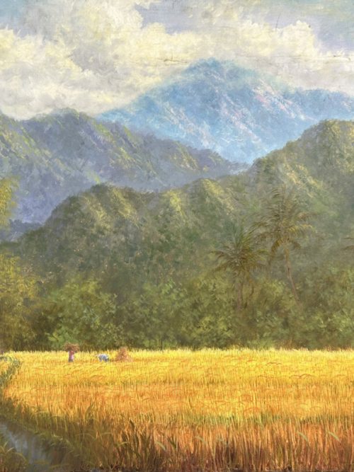 Rice Harvest