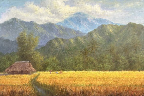 Rice Harvest
