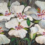 Calochortus Flower