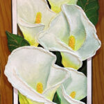 Calla Lilies