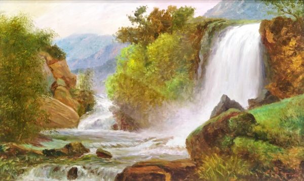 Nature's Shower
