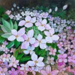 Alyssum Flower