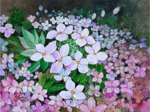 Alyssum Flower