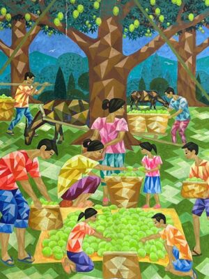 Seasonal Mango Harvest