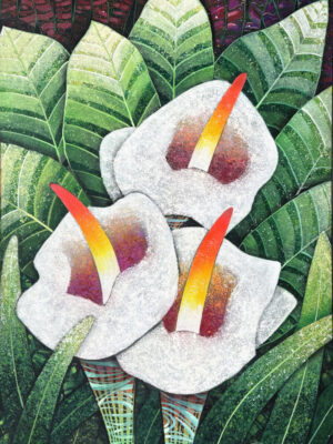 Calla Lily
