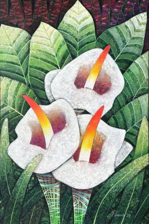 Calla Lily