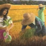 Rice Harvest