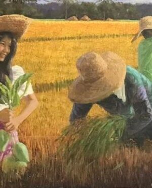 Rice Harvest