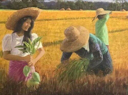 Rice Harvest