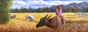 Rice Harvest