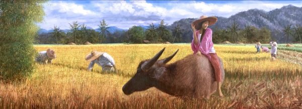 Rice Harvest