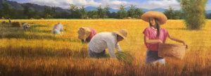 Rice Harvest