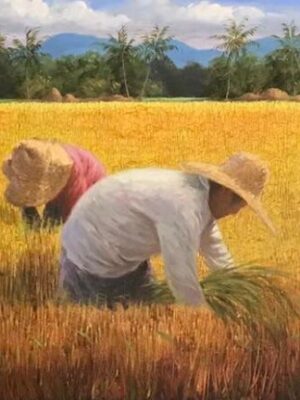 Rice Harvest