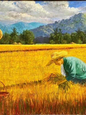 Rice Harvest