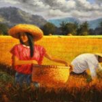 Rice Harvest