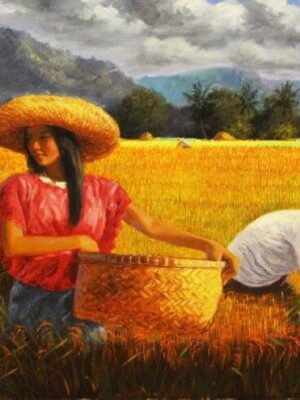 Rice Harvest