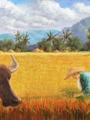 Rice Harvest