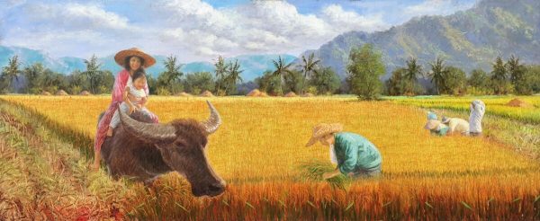 Rice Harvest