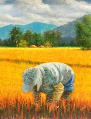 Rice Harvest