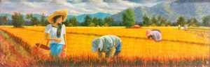 Rice Harvest