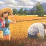 Rice Harvest