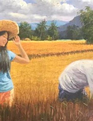 Rice Harvest