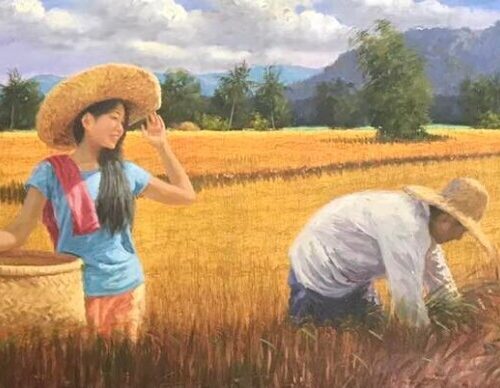 Rice Harvest