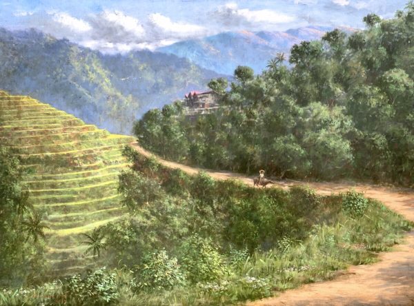 Long Road Home