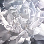 Blooming Serenity II