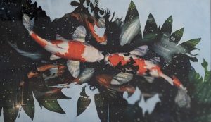 Estrous Koi