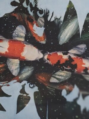 Estrous Koi
