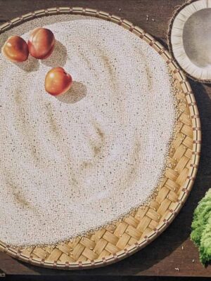 Still Life Series