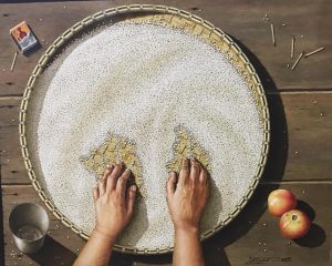 Still Life Series