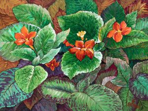 Episcia Clipreta Flame Violet