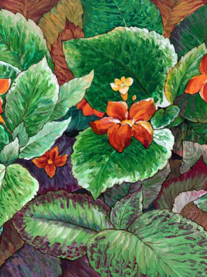 Episcia Clipreta Flame Violet