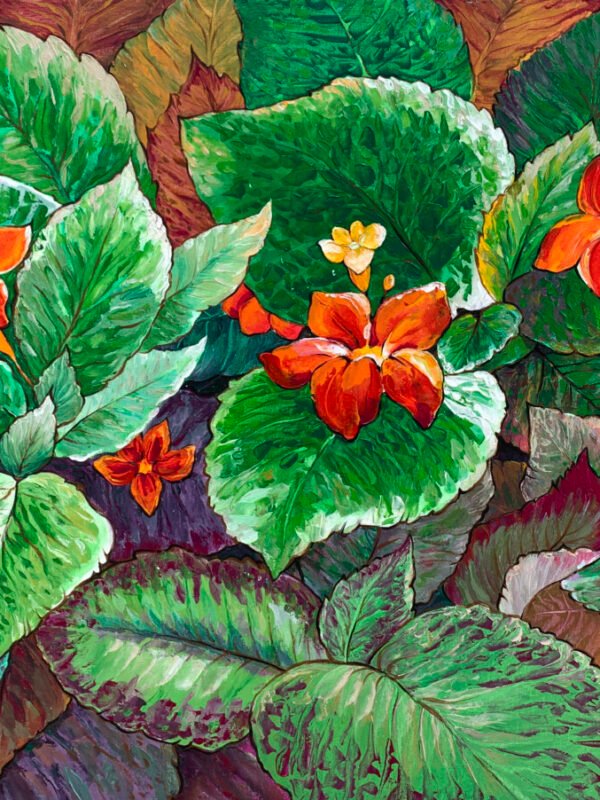 Episcia Clipreta Flame Violet