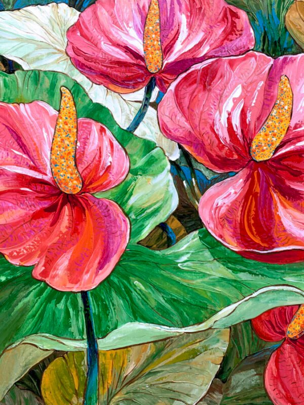 Anthurium