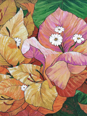 Bougainvillea